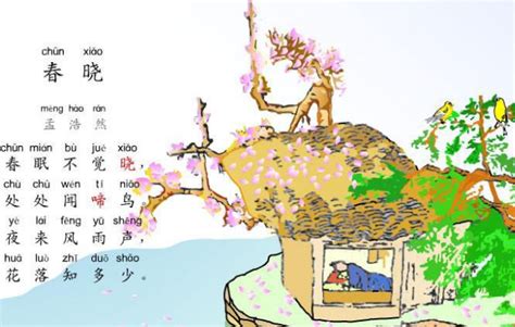 花落相知|“花落知多少”的意思及全诗出处和翻译赏析